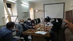برگزاری کنفرانس به صورت وبینار
